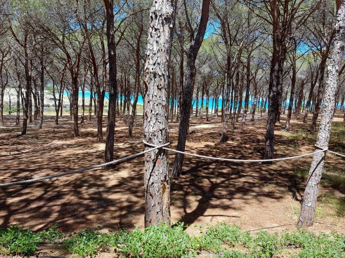 Gallura Dream Villas Budoni Bagian luar foto